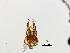  ( - 52241)  @12 [ ] No Rights Reserved (2011) NRR Unspecified