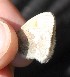  ( - FO2016-012)  @12 [ ] CreativeCommons - Attribution (2016) S. Pinna Unspecified