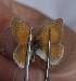  ( - FO2016-025)  @12 [ ] CreativeCommons - Attribution (2016) S. Pinna Unspecified
