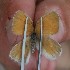  ( - FO2016-028)  @12 [ ] CreativeCommons - Attribution (2016) S. Pinna Unspecified
