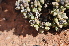  ( - PKM-48)  @11 [ ] No Rights Reserved  Unspecified Unspecified