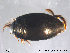  ( - EIFF69)  @13 [ ] CreativeCommons - Attribution Non-Commercial Share-Alike (2014) NTNU University Museum, Department of Natural History NTNU University Museum, Department of Natural History