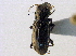  ( - BIOUG09887-A08)  @11 [ ] CreativeCommons - Attribution (2014) CBG Photography Group Centre for Biodiversity Genomics