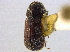  ( - BIOUG09887-H06)  @12 [ ] CreativeCommons - Attribution (2014) CBG Photography Group Centre for Biodiversity Genomics