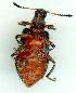  ( - gvc10043-1L)  @12 [ ] Copyright (2004) Unspecified Unspecified