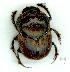  ( - gvc10157-1L)  @13 [ ] Copyright (2004) Unspecified Unspecified
