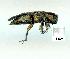  ( - gvc10319-1L)  @12 [ ] Copyright (2004) Unspecified Unspecified
