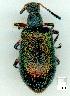  ( - gvc10404-1L)  @12 [ ] Copyright (2004) Unspecified Unspecified
