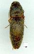  ( - gvc10916-1L)  @12 [ ] Copyright (2004) Unspecified Unspecified