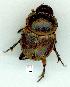  ( - gvc12702-1L)  @13 [ ] Copyright (2004) Unspecified Unspecified