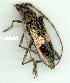  ( - gvc13299-1L)  @12 [ ] Copyright (2004) Unspecified Unspecified