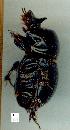  ( - gvc13677-1L)  @12 [ ] Copyright (2004) Unspecified Unspecified