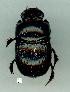  ( - gvc13678-1L)  @13 [ ] Copyright (2004) Unspecified Unspecified