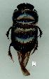  ( - gvc13679-1L)  @12 [ ] Copyright (2004) Unspecified Unspecified