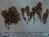  ( - CP-1311)  @11 [ ] Unspecified (default): All Rights Reserved  Unspecified Unspecified