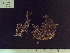  ( - CP-1433)  @11 [ ] Unspecified (default): All Rights Reserved  Unspecified Unspecified