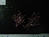  ( - CP-333)  @11 [ ] Unspecified (default): All Rights Reserved  Unspecified Unspecified