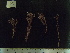  ( - CP-373)  @11 [ ] Unspecified (default): All Rights Reserved  Unspecified Unspecified