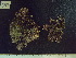  ( - CP-547)  @11 [ ] Unspecified (default): All Rights Reserved  Unspecified Unspecified