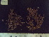  ( - CP-701)  @11 [ ] Unspecified (default): All Rights Reserved  Unspecified Unspecified