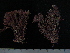  ( - CP-720)  @11 [ ] Unspecified (default): All Rights Reserved  Unspecified Unspecified