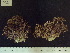  ( - CP-731)  @11 [ ] Unspecified (default): All Rights Reserved  Unspecified Unspecified