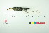 ( - TA 204)  @11 [ ] Unspecified (default): All Rights Reserved  Unspecified Unspecified
