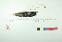  ( - TA 204)  @11 [ ] Unspecified (default): All Rights Reserved  Unspecified Unspecified