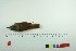  ( - TA 4005)  @13 [ ] Unspecified (default): All Rights Reserved  Unspecified Unspecified