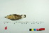  ( - TA 4005)  @12 [ ] Unspecified (default): All Rights Reserved  Unspecified Unspecified