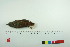  ( - TA 4006)  @13 [ ] Unspecified (default): All Rights Reserved  Unspecified Unspecified
