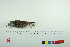  ( - TA 4006)  @13 [ ] Unspecified (default): All Rights Reserved  Unspecified Unspecified