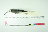  ( - TA 468)  @11 [ ] Unspecified (default): All Rights Reserved  Unspecified Unspecified