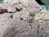  ( - GWS008855)  @11 [ ] Unspecified (default): All Rights Reserved  Unspecified Unspecified