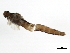  ( - 09CPMAY-164)  @13 [ ] CreativeCommons - Attribution (2010) CBG Photography Group Centre for Biodiversity Genomics