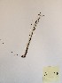  ( - MCF-158)  @11 [ ] copyright (2021) Melanie Flood Columbus State University