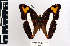  ( - CQR-0730)  @11 [ ] Copyright  Unspecified Unspecified