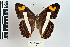  ( - CQR-0729)  @11 [ ] Copyright  Unspecified Unspecified