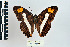  ( - CQR-0732)  @11 [ ] Copyright  Unspecified Unspecified