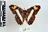  ( - CQR-0731)  @11 [ ] Copyright  Unspecified Unspecified