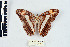  ( - CQR-0731)  @11 [ ] Copyright  Unspecified Unspecified