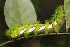  ( - CQR-0506)  @12 [ ] Copyright  Unspecified Unspecified