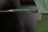  ( - CQR-0325)  @12 [ ] Copyright  Unspecified Unspecified