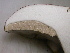  ( - S-0309)  @11 [ ] CreativeCommons - Attribution Non-Commercial Share-Alike (2010) Jeffrey A. Klemens Royal Ontario Museum