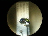  ( - CCDB-05715-B06)  @11 [ ] Copyright  G. Blagoev 2010 Unspecified