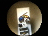  ( - CCDB-05715-B09)  @11 [ ] Copyright  G. Blagoev 2010 Unspecified