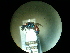  ( - CCDB-05715-C09)  @13 [ ] Copyright  G. Blagoev 2010 Unspecified