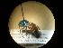  ( - CCDB-05715-F09)  @11 [ ] Copyright  G. Blagoev 2010 Unspecified