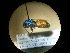  ( - CCDB-05715-F11)  @13 [ ] Copyright  G. Blagoev 2010 Unspecified