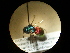  ( - CCDB-05715-G02)  @12 [ ] Copyright  G. Blagoev 2010 Unspecified